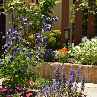 季節の植栽を楽しめる花壇