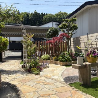 玄関側から見たお庭